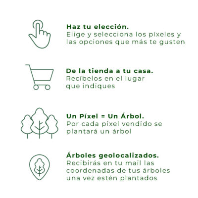 X390_Y010 - Imagen 3