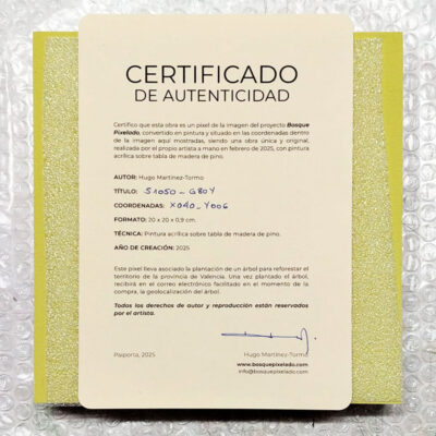 X390_Y010 - Imagen 6