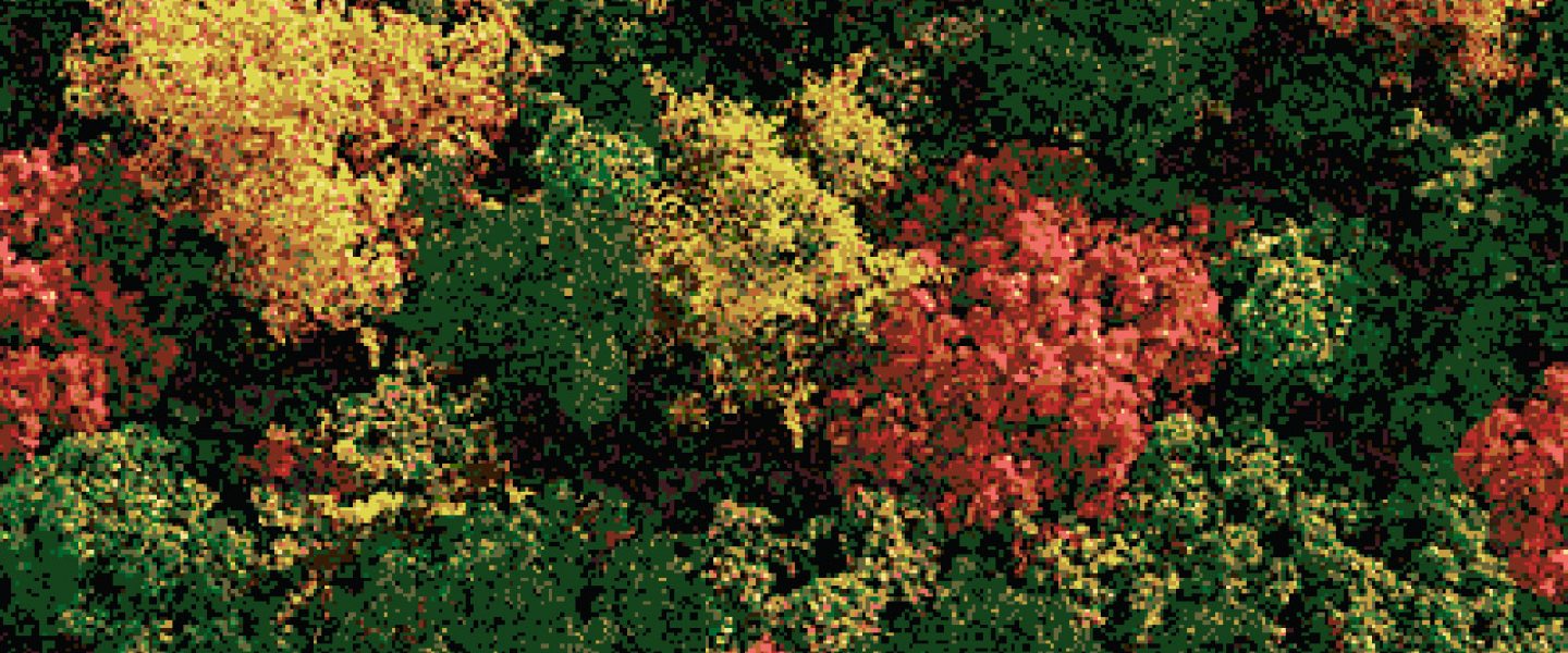 EL-BOSQUE_pixeleada-400x300_INDEXADA_colores-pintura