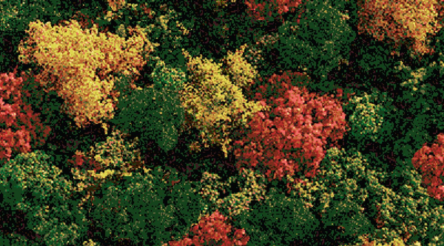 EL-BOSQUE_pixeleada-400x300_INDEXADA_colores-pintura